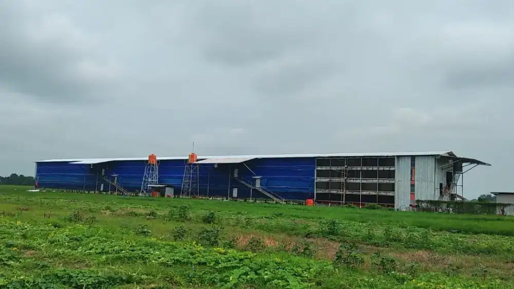 Dijual Kandang Ayam Pejagan Farm