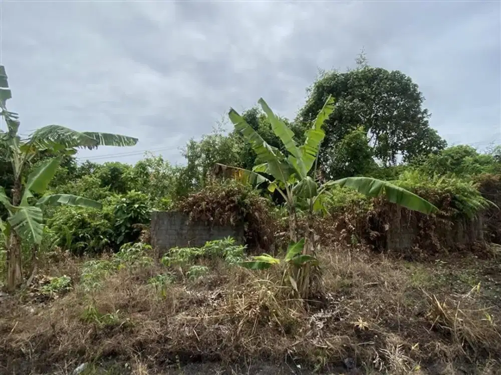 ASET BTN PONTIANAK, TANAH KOSONG, Komplek Pesona Yasmin, Jalan Desa Kapur