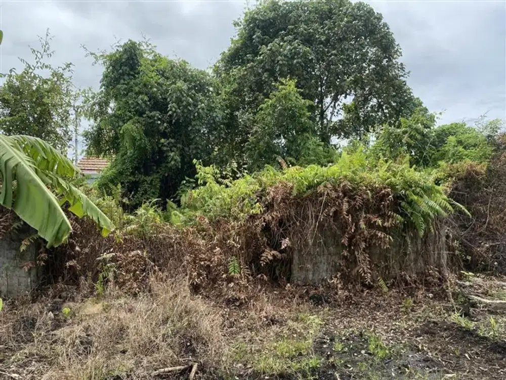ASET BTN PONTIANAK, TANAH KOSONG, Komplek Pesona Yasmin, Jalan Desa Kapur