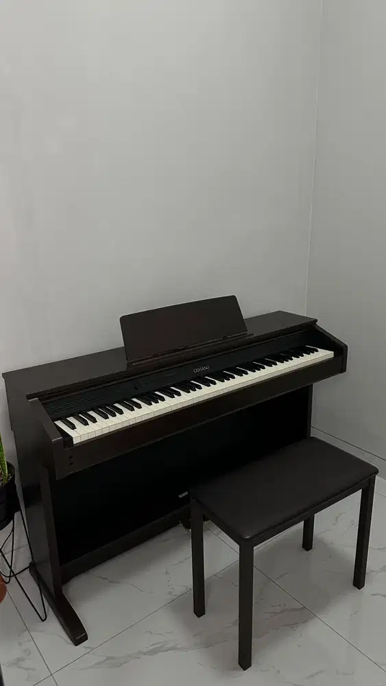 Piano Digital Casio Celviano AP-250