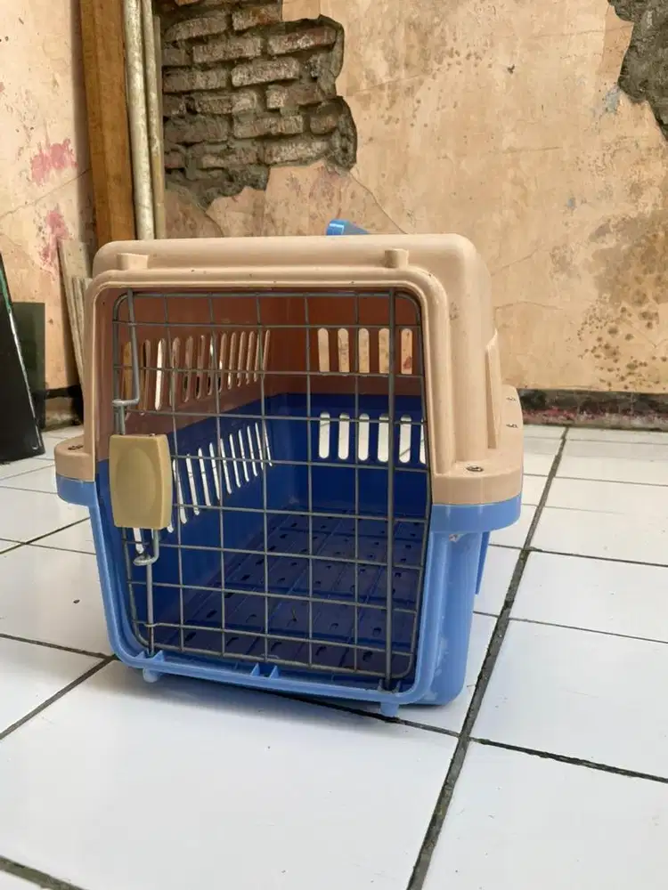 Kandang kucing jumbo