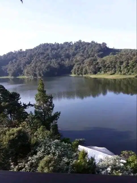 Mencari pekerjaan usia 42 tahun