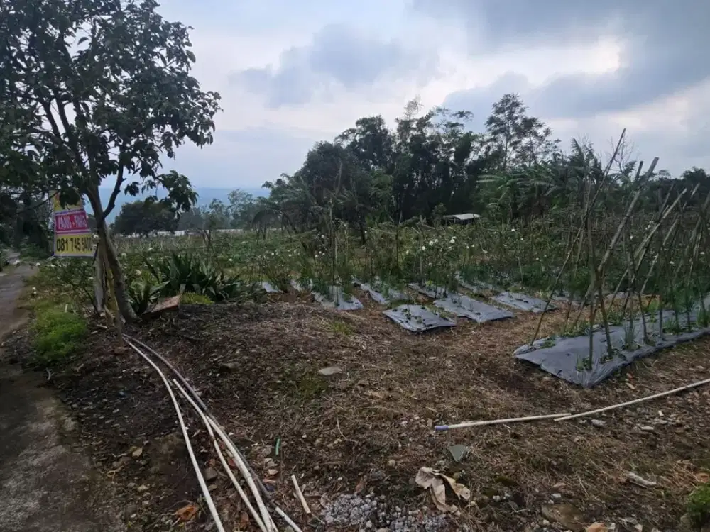 Dijual Tanah Dengan View Gunung Ungaran Di Nusa Indah Bandungan Semarang