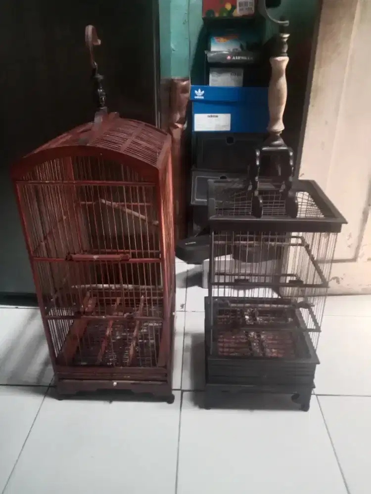 Kandang burung borongan