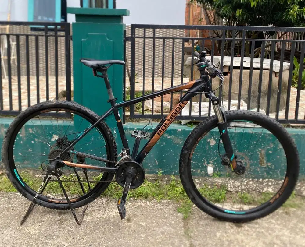 Polygon premier 4 L 29