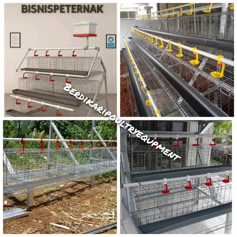 Paket ternak skala rumahan