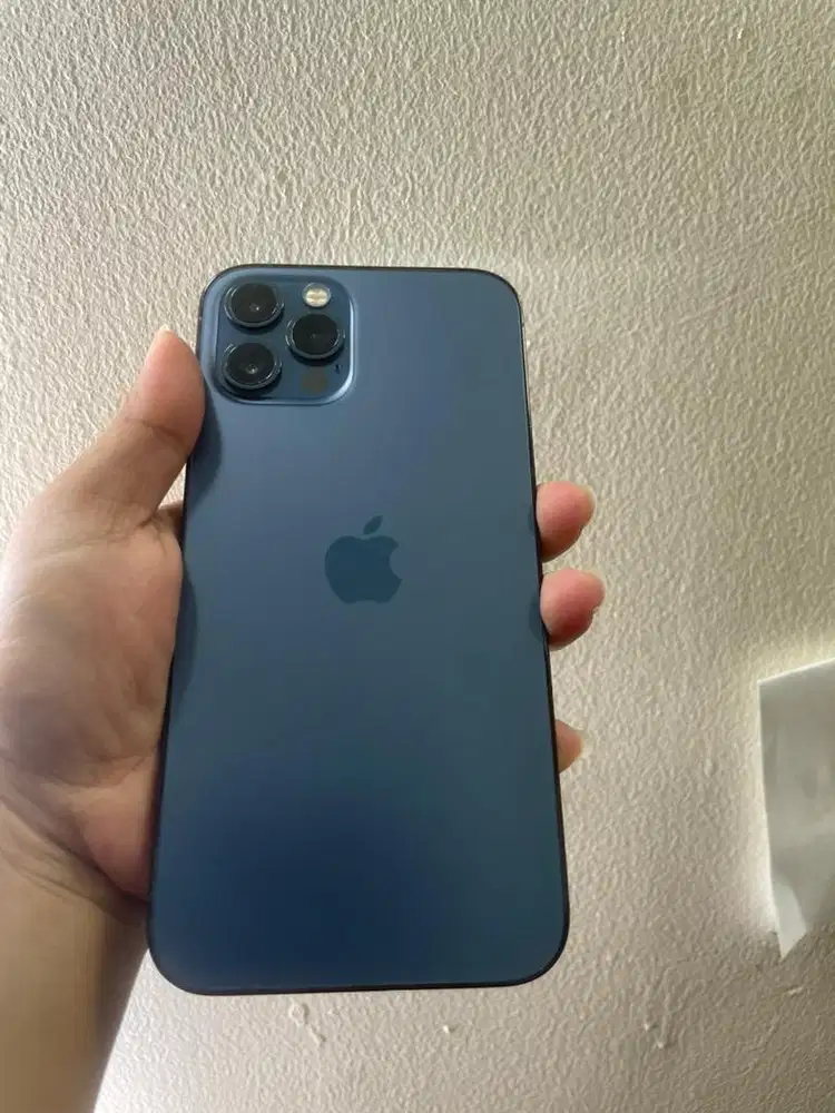 bismillah di jual iphone 12 pro 256 gb ibox