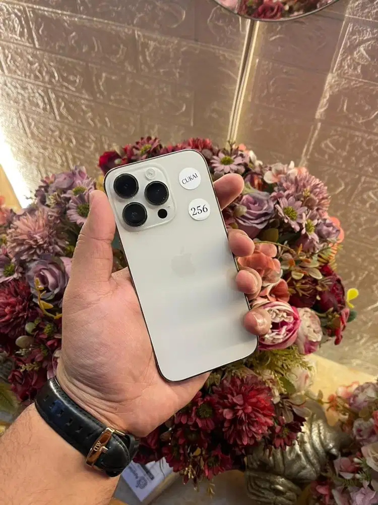 Iphone 14 Pro 256gb Beacukai