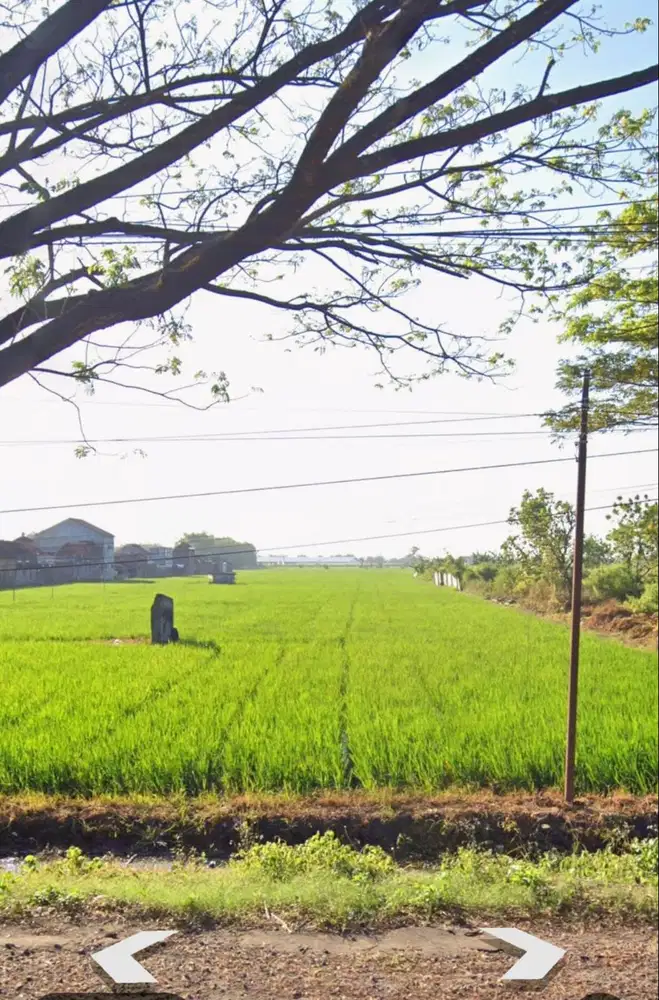 DIJUAL TANAH 1.1 HEKTAR JL RAYA MAOSPATI-NGAWI ADA BANGUNAN 3000M2