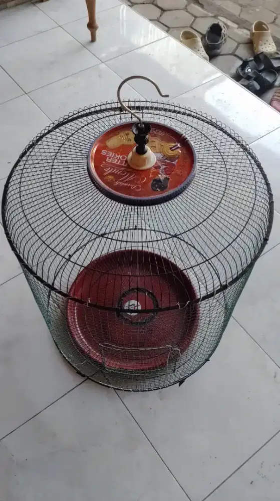 Kurungan ayam burung besar