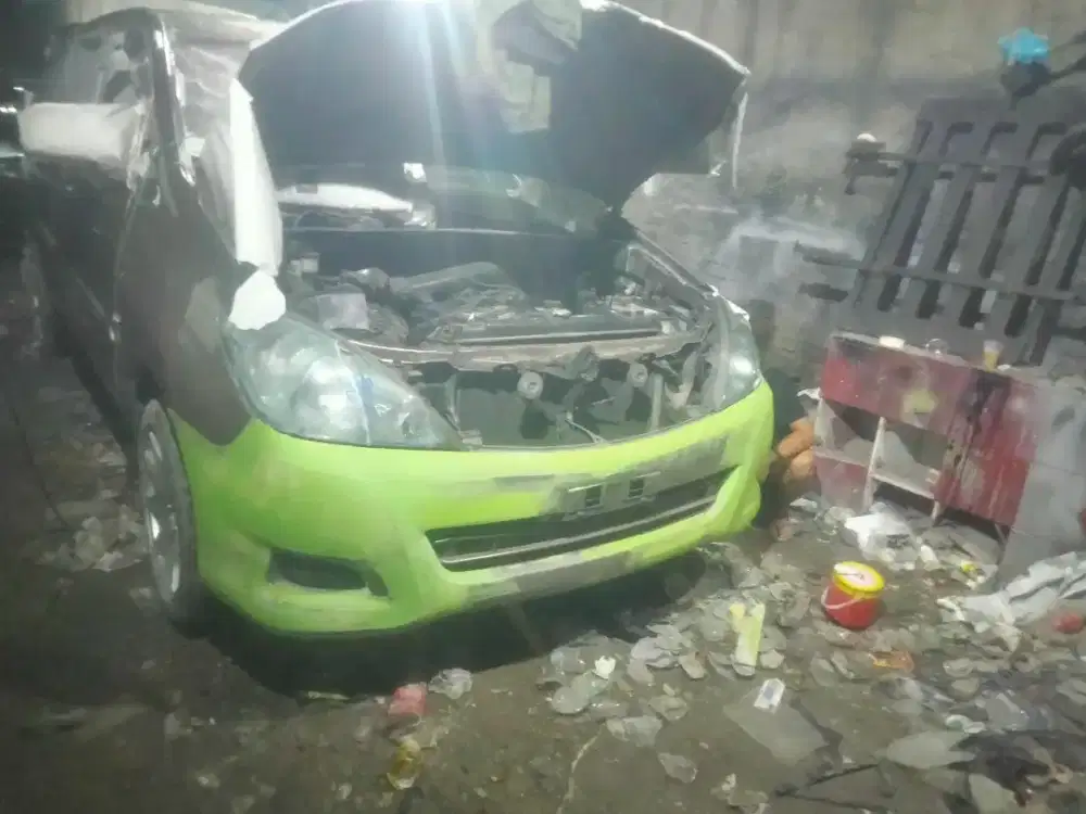 Repair cat  body ketok magic