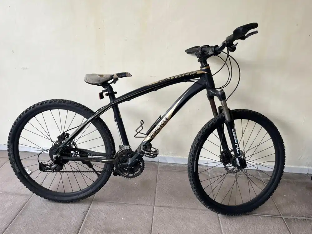 Sepeda Wimcycle Hotrod 30 - Second