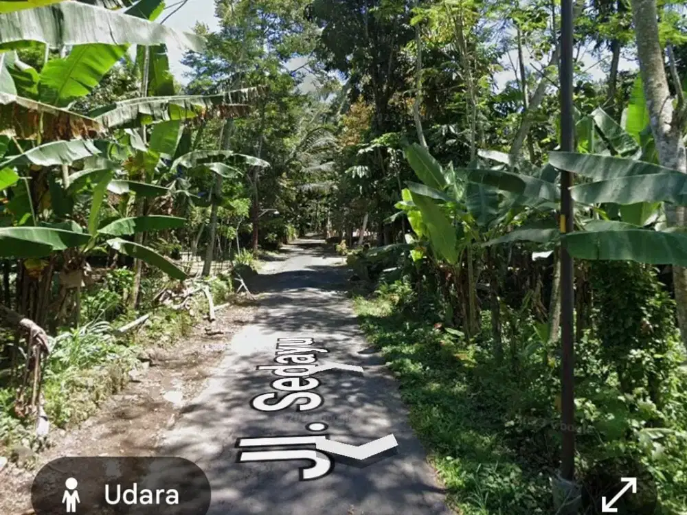 DIJUAL TANAH PEKARANGAN MURAH BONUS POHON DURIAN