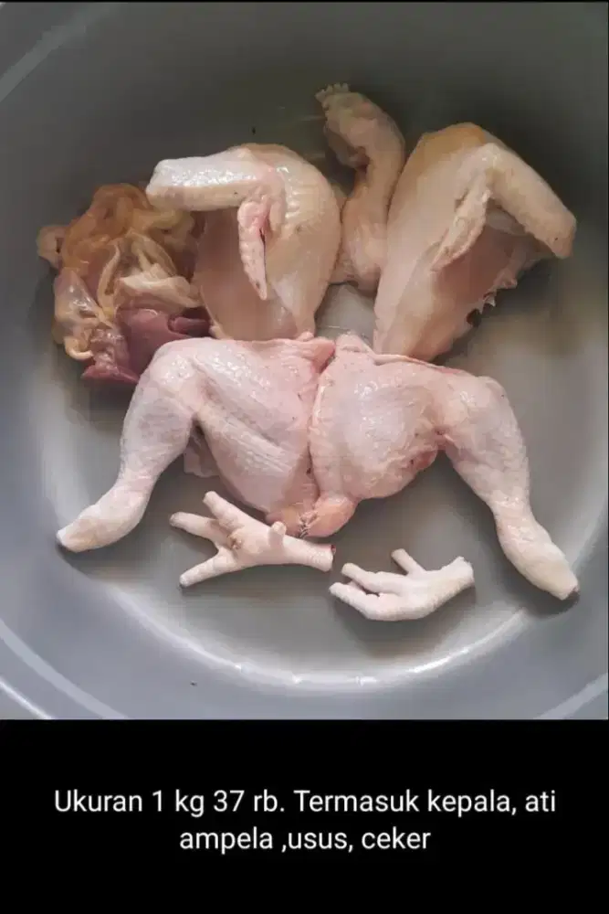 Ayam potong ekor Dan fried chiken