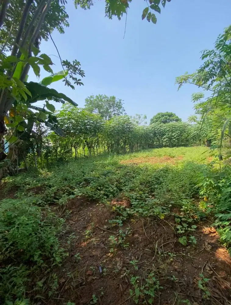 DIJUAL TANAH STRATEGIS SIAP BANGUN (240 METER)