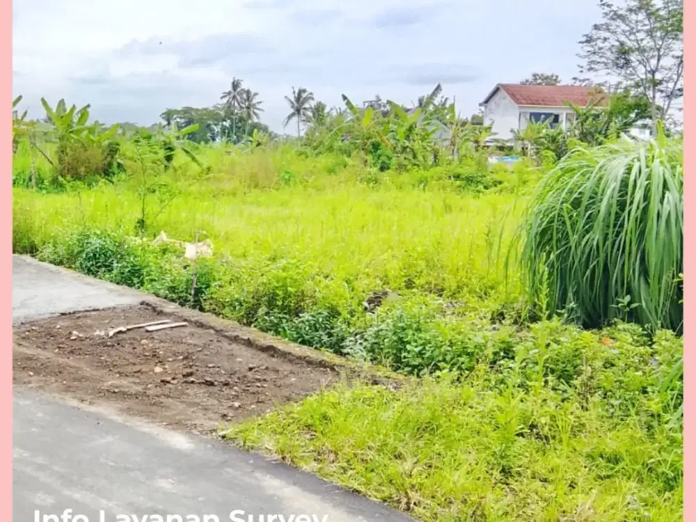 Tanah Jogja Barat Jl Kaliurang Km10 Shm Ready Siap Balik Nama