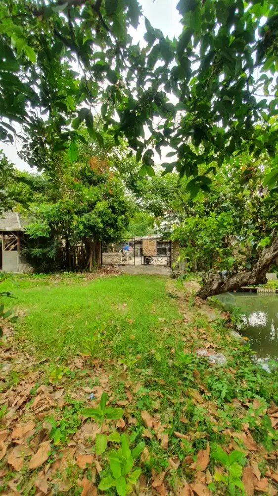 Di Jual Lahan Tanah Investasi di Pergudangan Teluk Naga Sepatan PIK 2