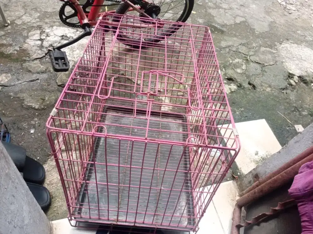 Kandang kucing besi tebal