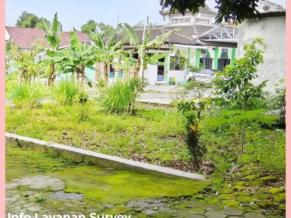 Tanah YogyaKarta Area Jl Palagan Km11 Utara Pasar Rejodani