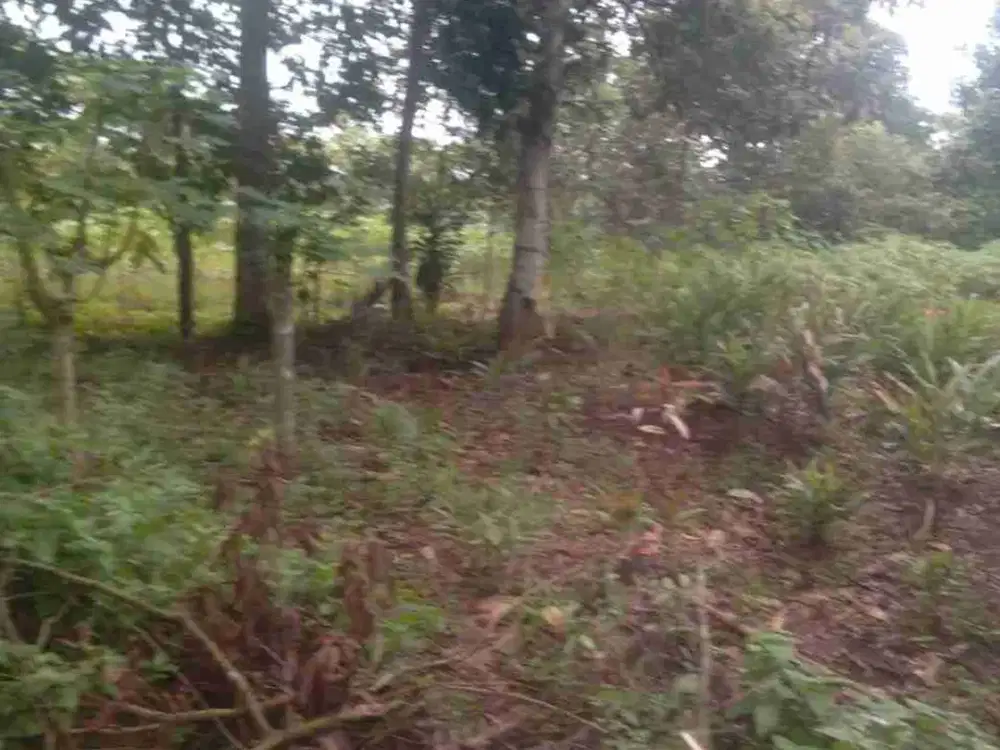 dijual tah darat 670mt hrga murah jln masuk mobil