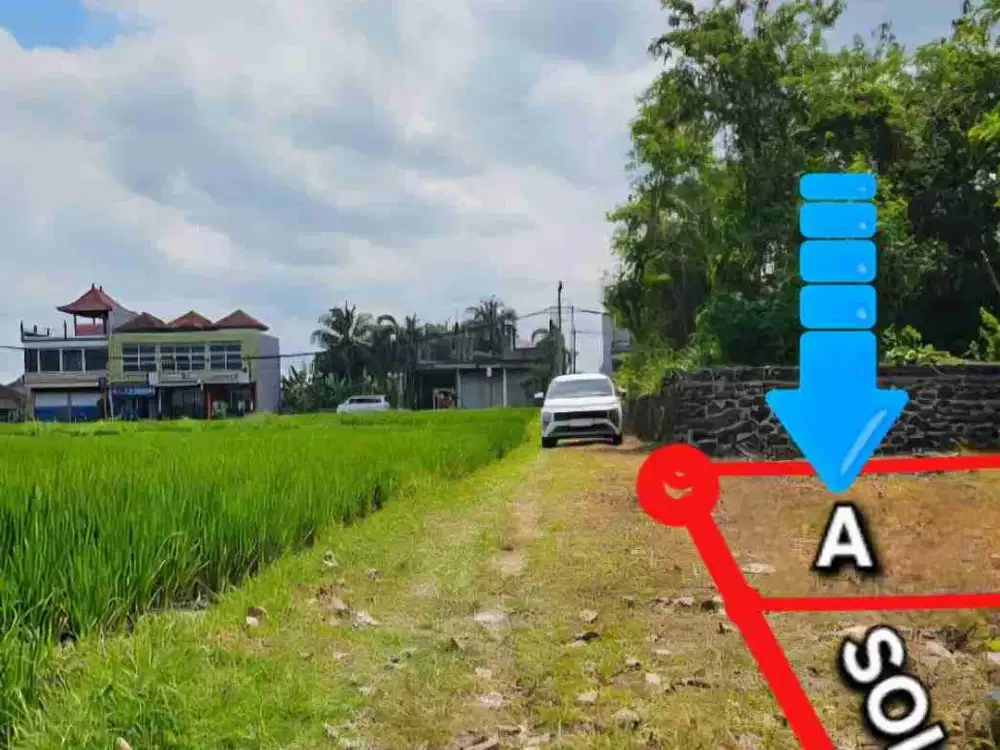 Tanah View sawah ITR pemukiman Nyitdah Kedungu Tabanan Bali