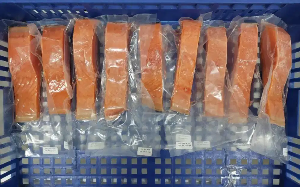 Salmon Portion Fresh n Frozen