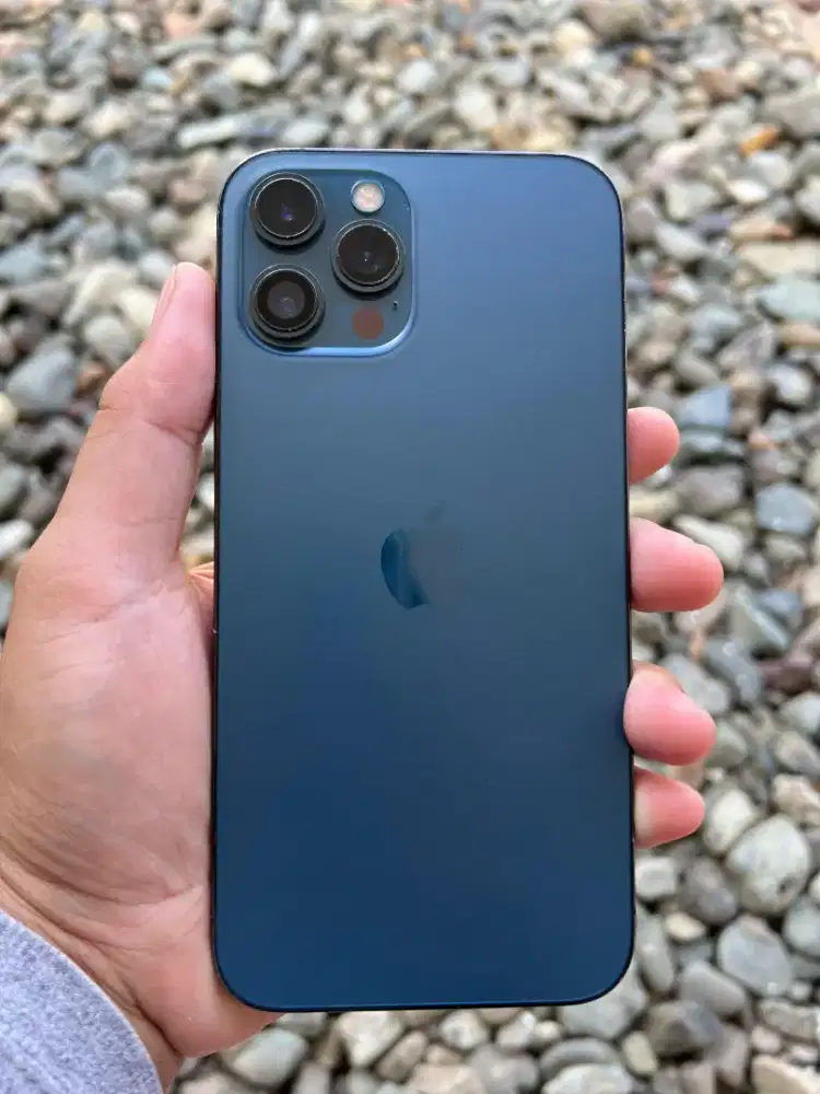 iPhone 12 Pro Max 128gb Inter Bisa Tri