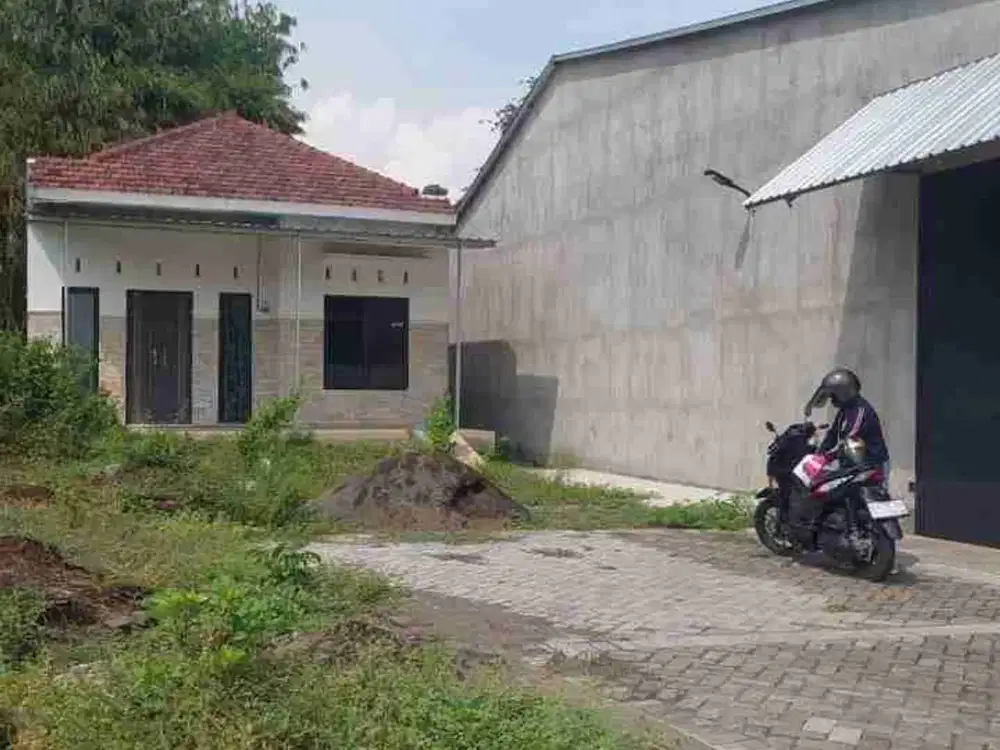 Rumah Murah