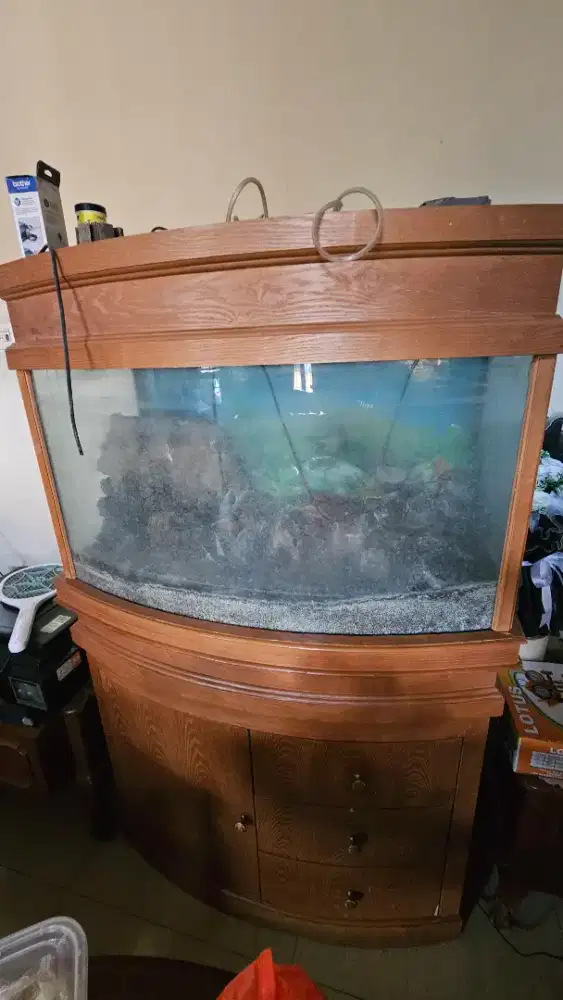 Aquarium Cembung Kabinet Bekas