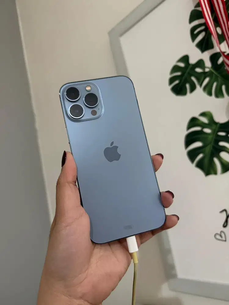 BU iPhone 13 Pro Max 128GB Resmi Digimap