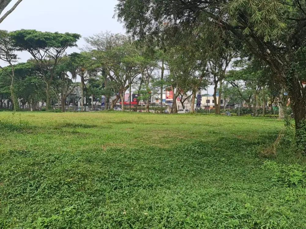 Dijual Tanah Luas 738m2, di Cipanas Jawa Barat