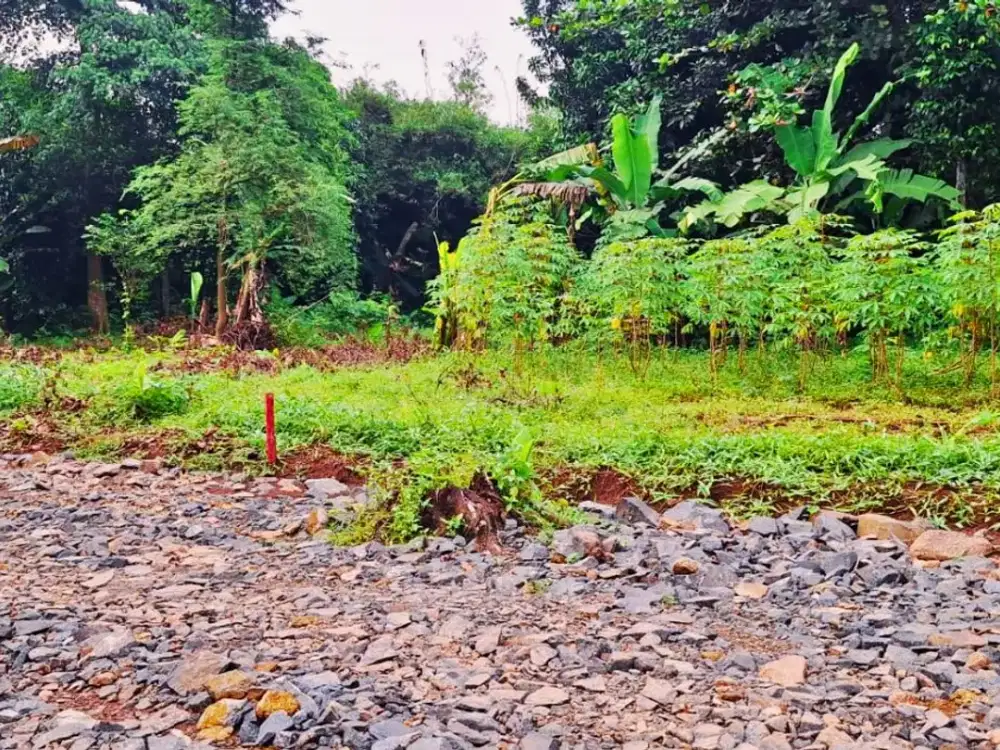 Tanah Murah Hanya 1 Jt-an di Bekasi Dekat Pintu Tol Burangkeng, SHM