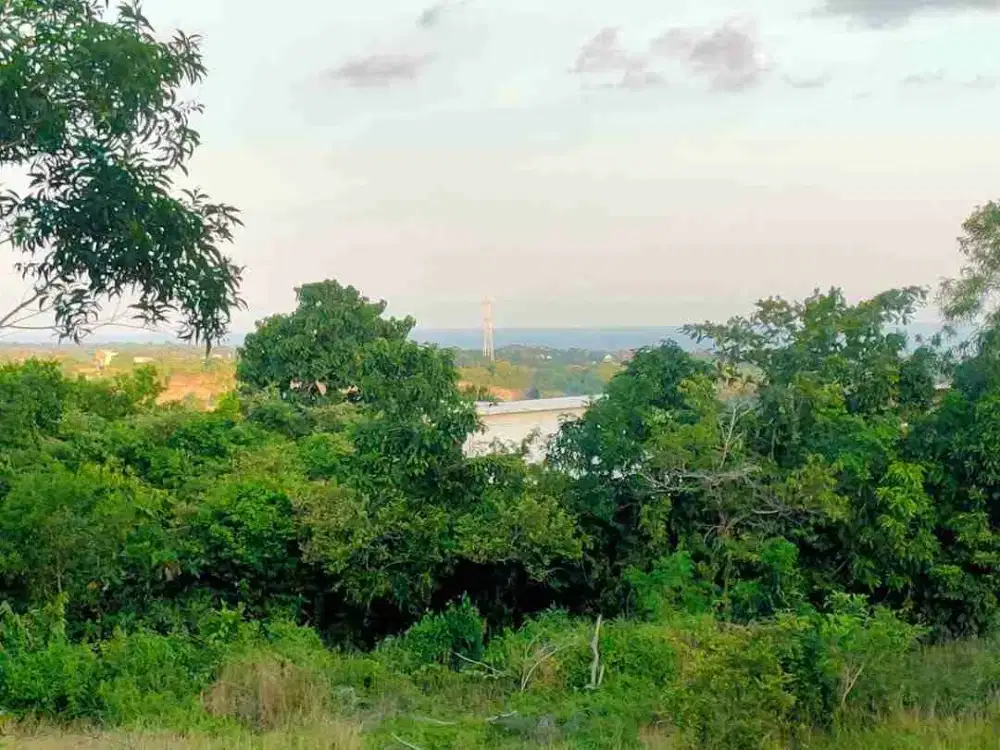 dijual tanah 3262m² 7 SHM bisa dibeli per share IDR 450 juta per are Kawasan Melasti beach Ungasan