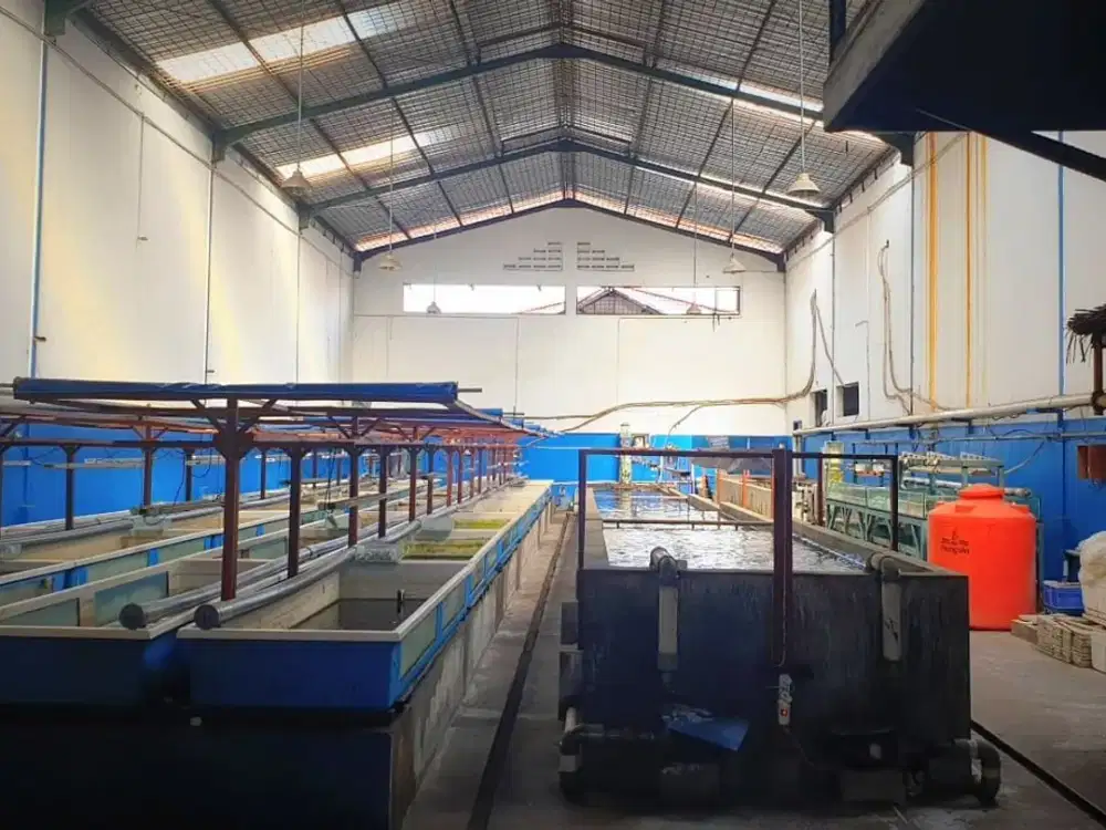 Gudang Di Kapuk Kamal Bebas Banjir 645m2 Masuk Kontainer 40 feet