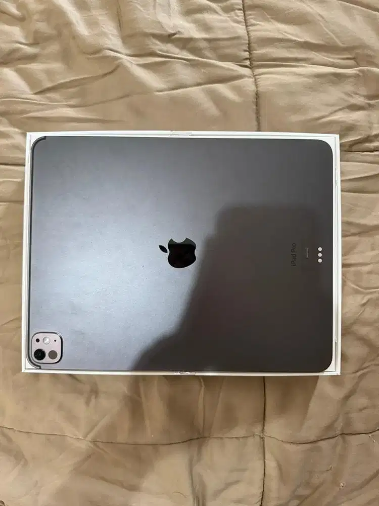 Ipad Pro M4 13 Inch 256gb