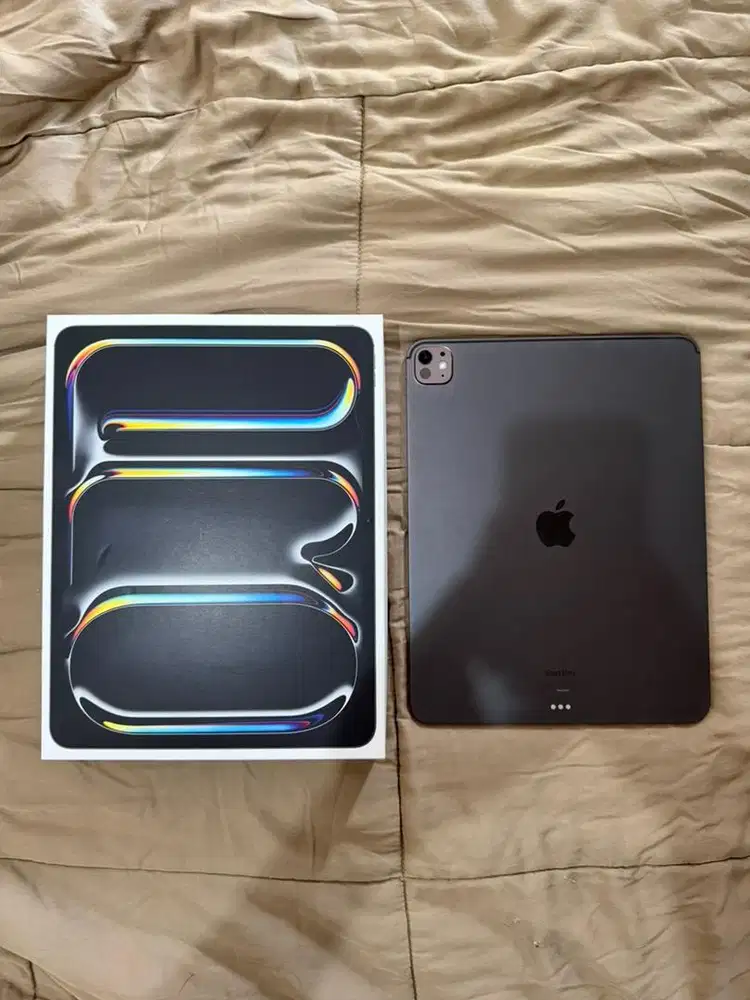 Ipad Pro M4 13 Inch 256gb