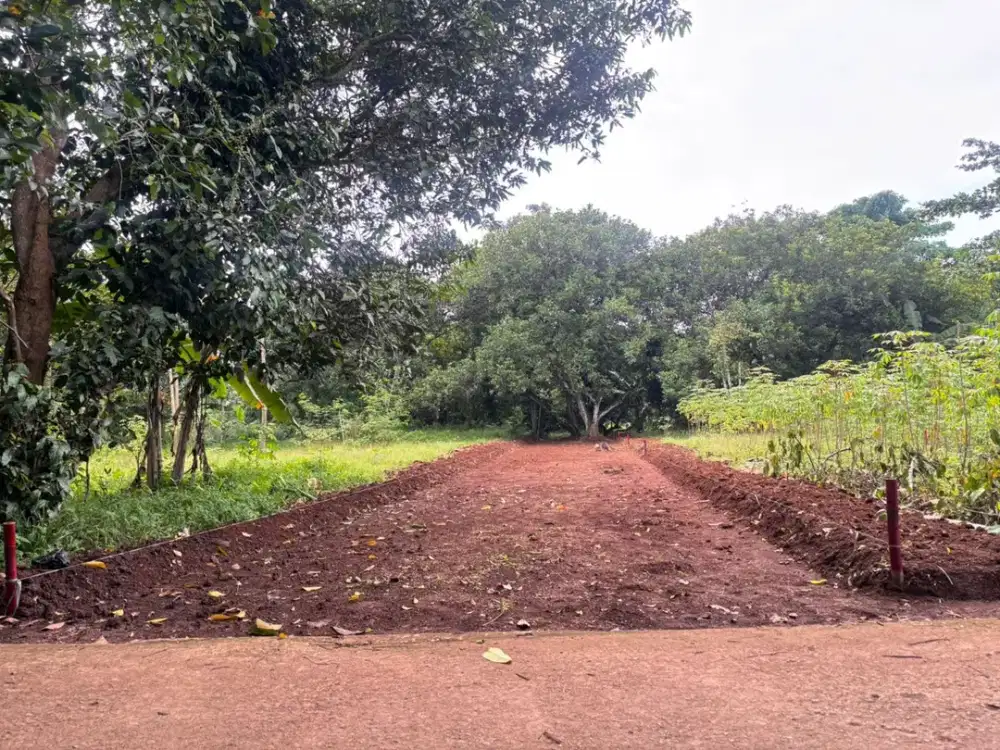 Kavling Murah Bekasi Dekat Taman Sari Forest