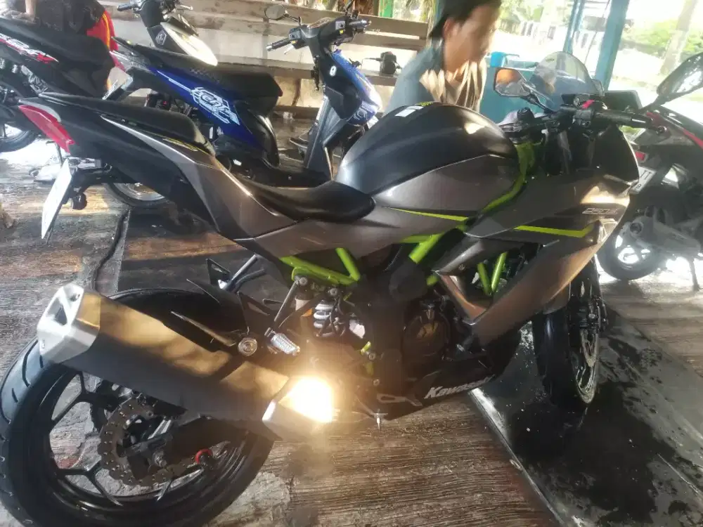 Ninja 250 SL [1 Cylinder]