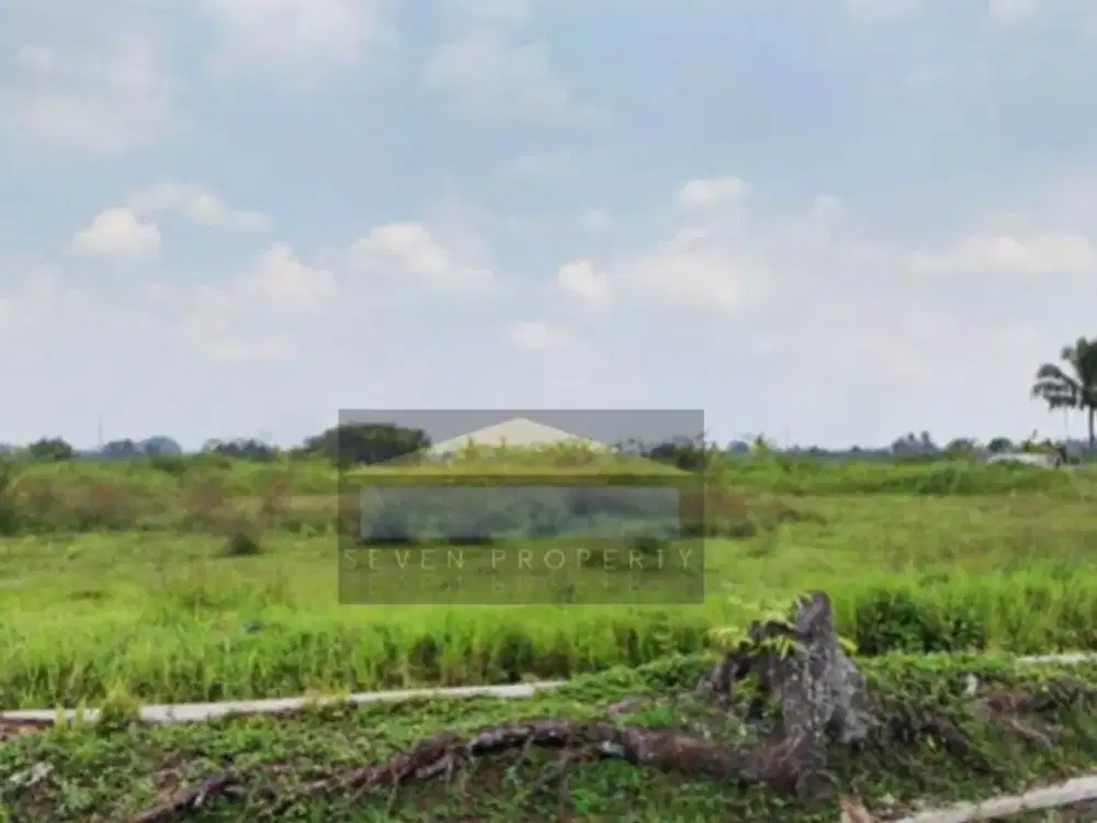 Dijual Tanah Permeter Cepat & Murah di Cicurug Bogor P3.009/24/PR-HJ