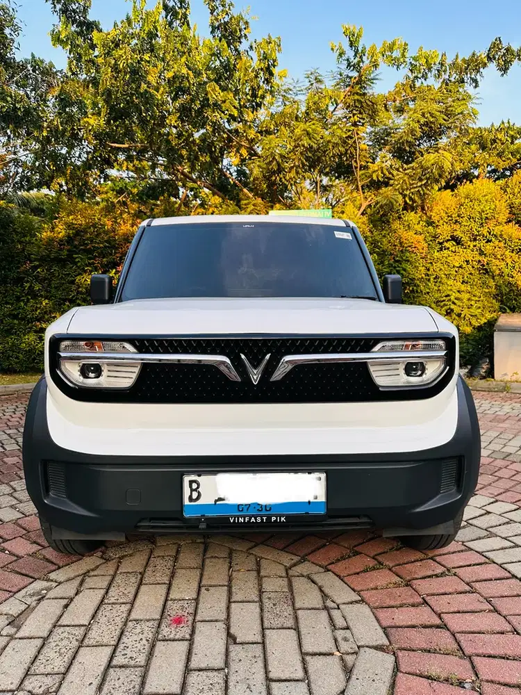 Vinfast Vf3 Included baterry