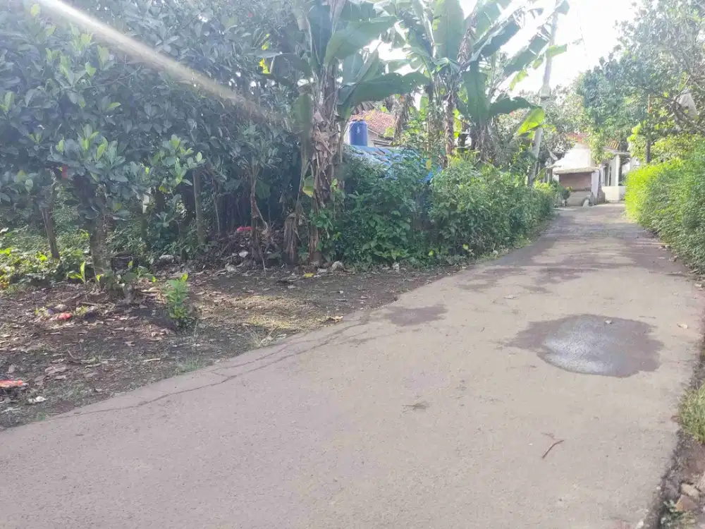 Tanah Strategis Ciseeng Bogor 814 m² Cocok Rumah Kebun