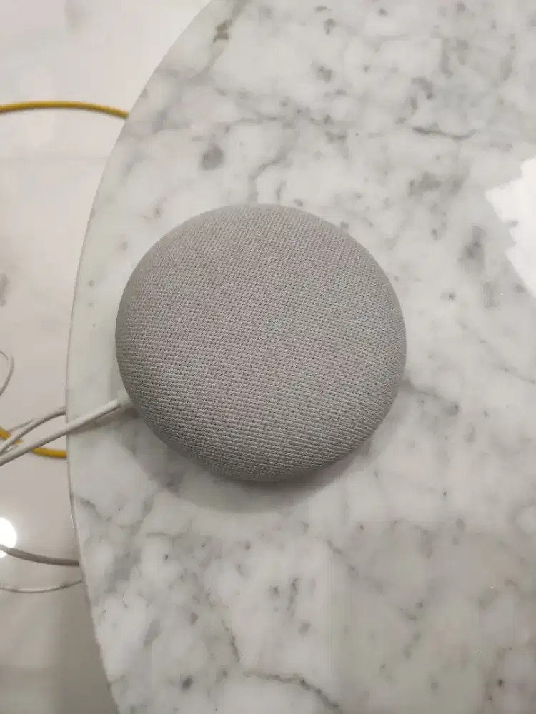 Google mini nest