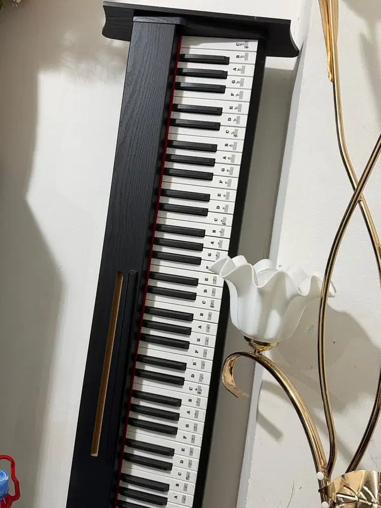 BUTUH ORANG BAIK BUAT ADOPSI PIANO ELEKTRIK TERCINTA