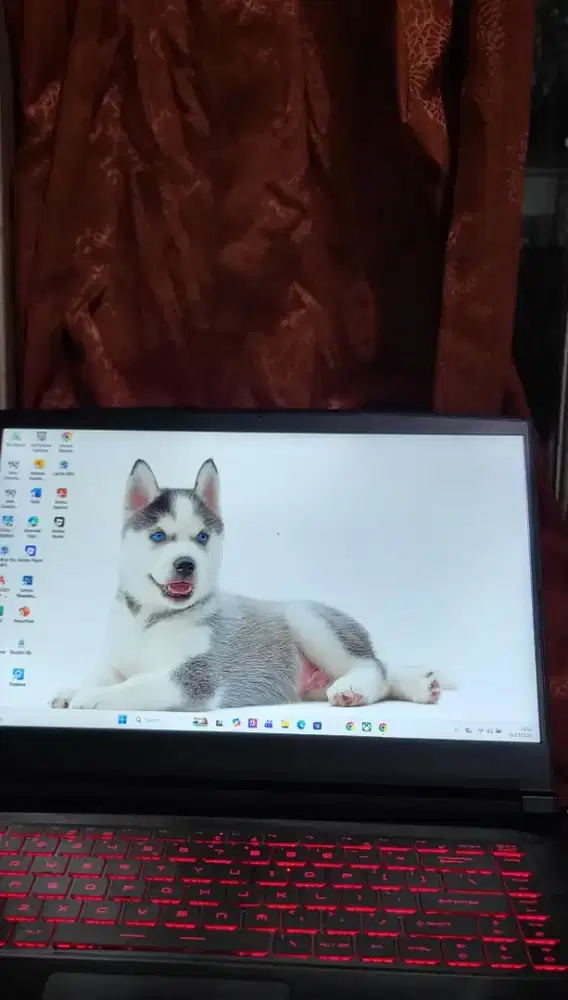 msi gf63 thin 11uc
Intel core i5 gen 11rtx 2050 
144HZ likenew fullset