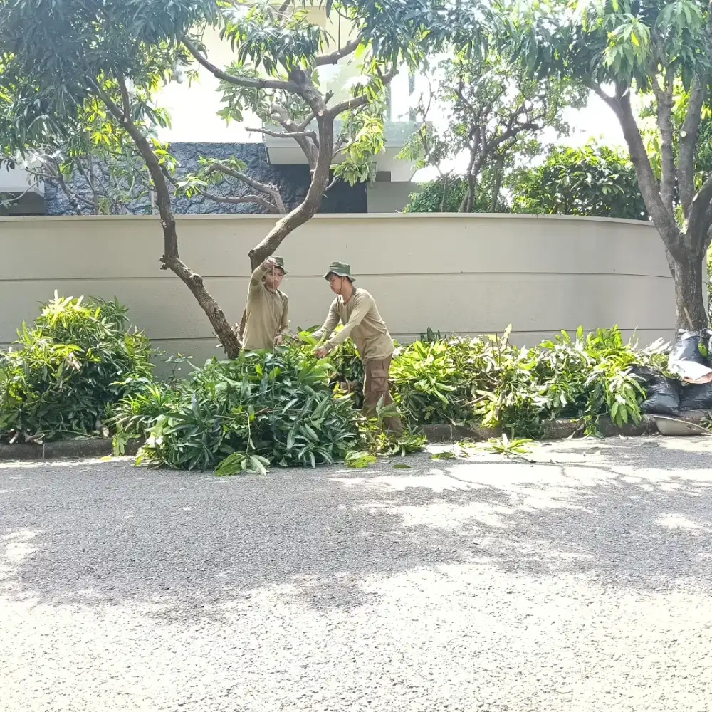 Jasa perawatan tanaman