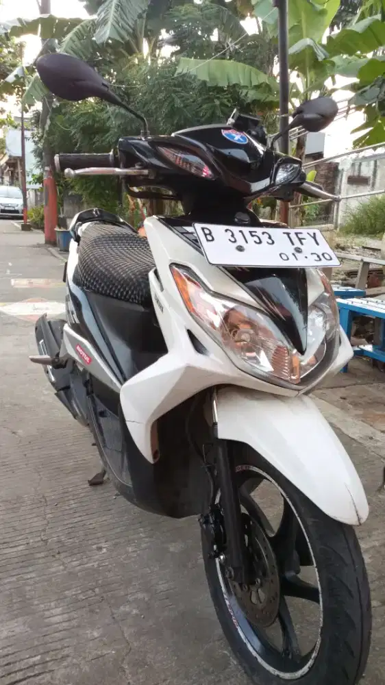 xeon putih karbulator