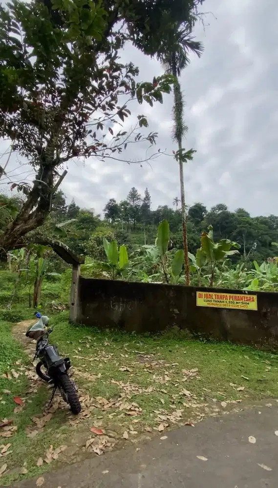 DI JUAL TANAH PUNCAK BOGOR