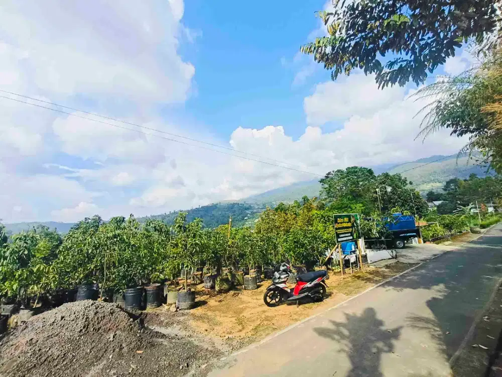 Tanah Murah View bagus Area kemuning ngargoyoso KRa