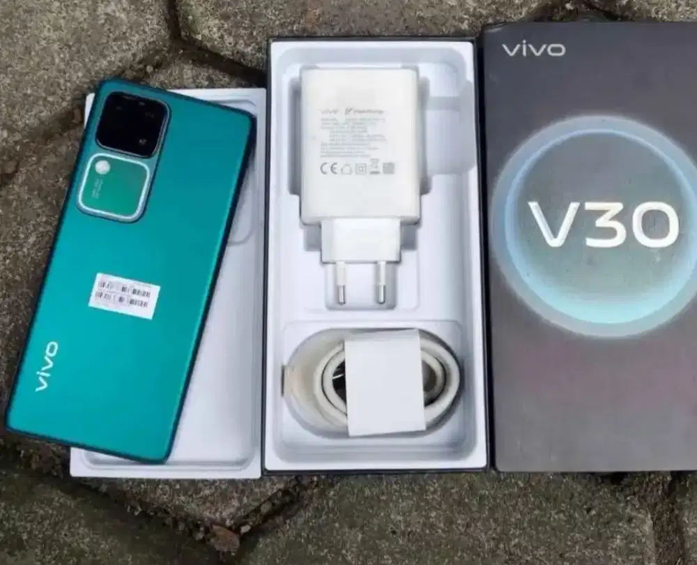 Vivo V30 5G 8/256
