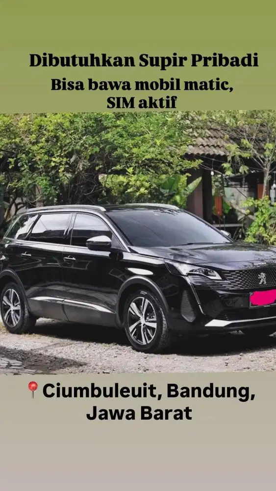 Dibutuhkan supir pribadi segera